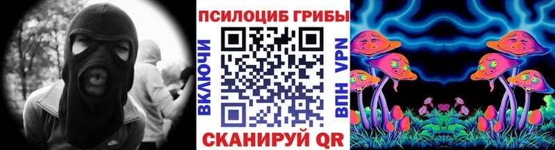 Галлюциногенные грибы Psilocybe  kraken онион  Богучар  купить  