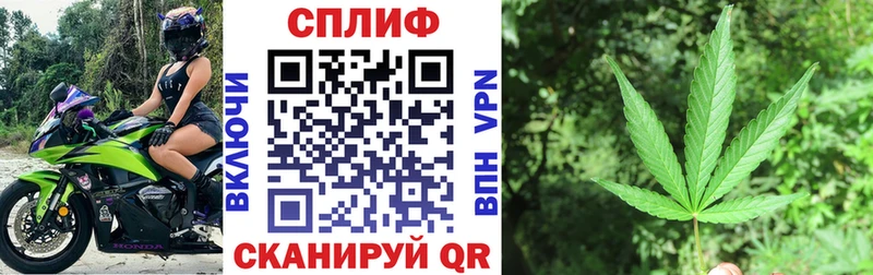 Канабис SATIVA & INDICA  Богучар 